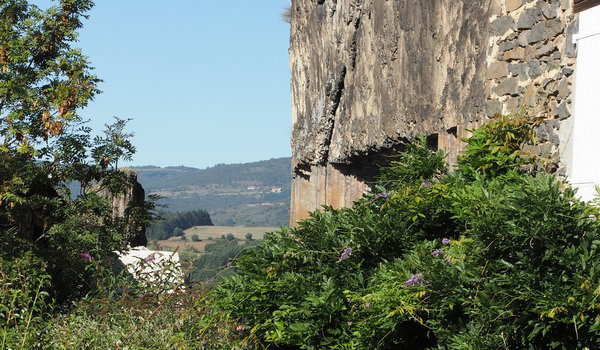 1560342428-P9080051_DxO