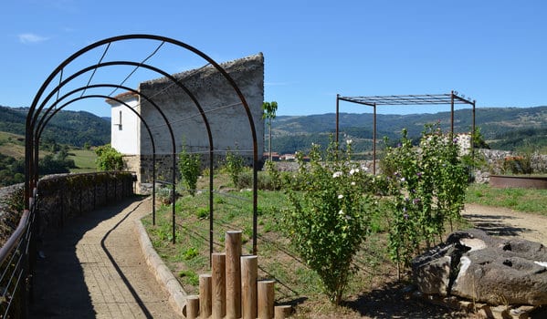 1560342545-DSC_0105-R