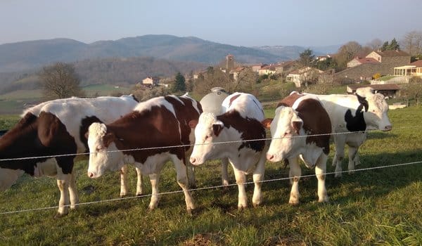 1560342685-IMG_20190412_083941