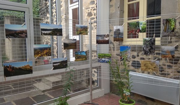 1560590121-IMG_20190614_174212