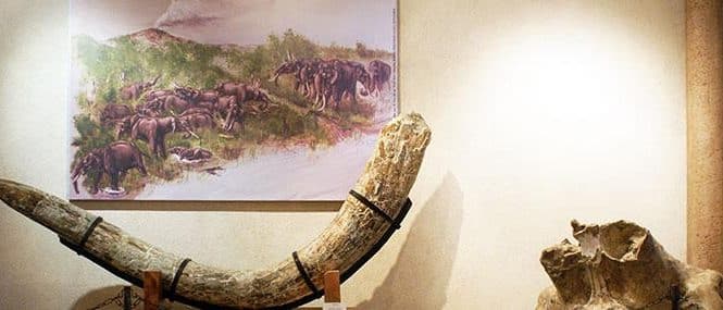 1401983617_media-665x285