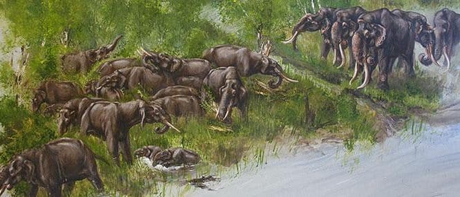 1401983693_media-665x285